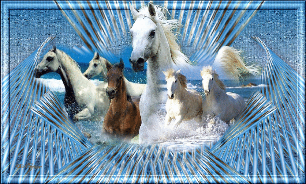 Кто поет песню три белых коня. Открытка три белых коня музыкальная открытка. Кони привередливые поет Галина Беляева.