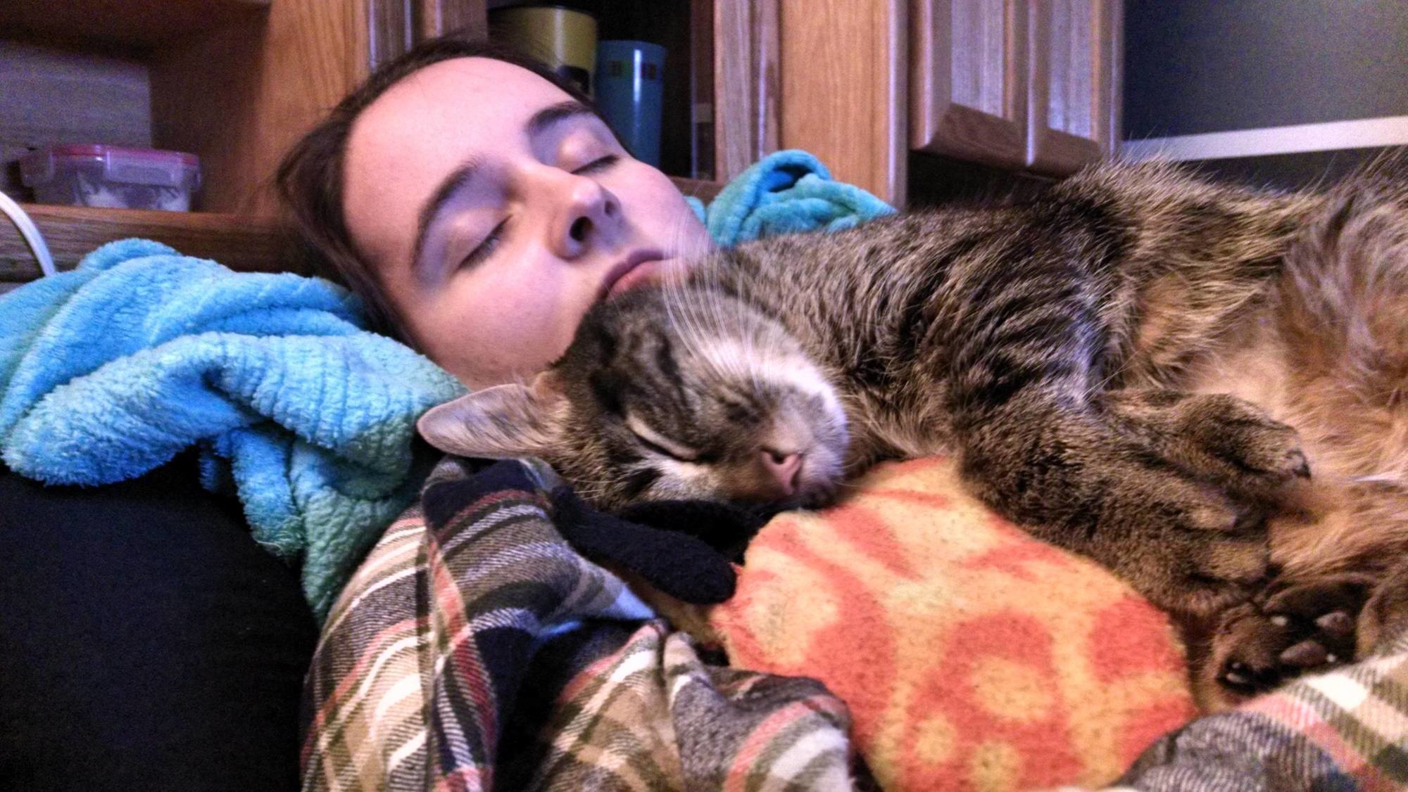 Почему кошки спят со мной. Коты спят на человеке.